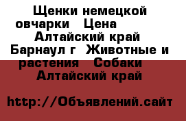 Щенки немецкой овчарки › Цена ­ 6 000 - Алтайский край, Барнаул г. Животные и растения » Собаки   . Алтайский край